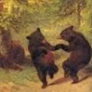 Meet your Posher, Lee